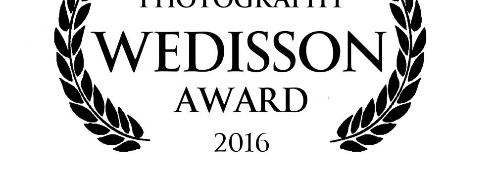 International Wedisson Award 2016