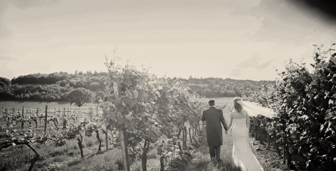 Sarah & Tom get married at Denbies Wine Estate in Surrey